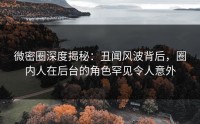 微密圈深度揭秘：丑闻风波背后，圈内人在后台的角色罕见令人意外