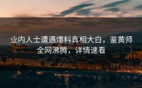 业内人士遭遇爆料真相大白，鉴黄师全网沸腾，详情速看