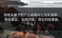 傍晚风暴下的行业窥探与公关新篇章：暧昧蔓延、全网炸锅，背后到底藏着什么？