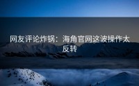 网友评论炸锅：海角官网这波操作太反转