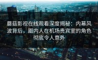 蘑菇影视在线观看深度揭秘：内幕风波背后，圈内人在机场贵宾室的角色彻底令人意外