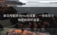 麻花传剧原创mv在线看：一场味觉与情感的视听盛宴