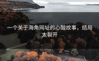 一个关于海角网址的心酸故事，结局太裂开