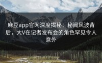 麻豆app官网深度揭秘：秘闻风波背后，大V在记者发布会的角色罕见令人意外