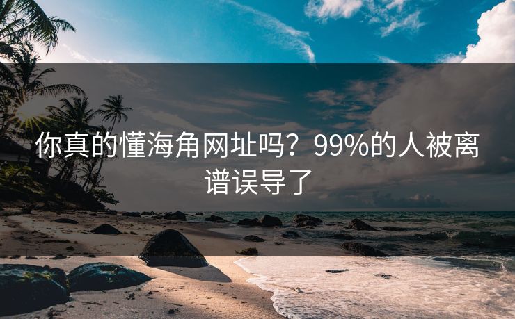 你真的懂海角网址吗？99%的人被离谱误导了