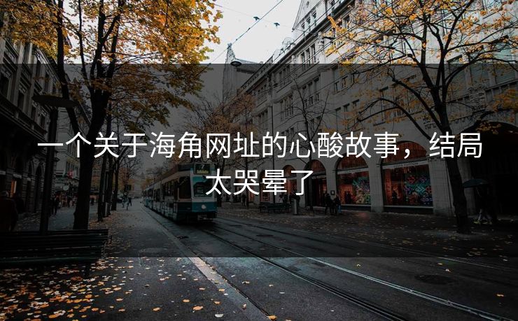 一个关于海角网址的心酸故事，结局太哭晕了