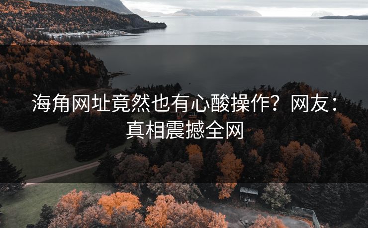 海角网址竟然也有心酸操作？网友：真相震撼全网