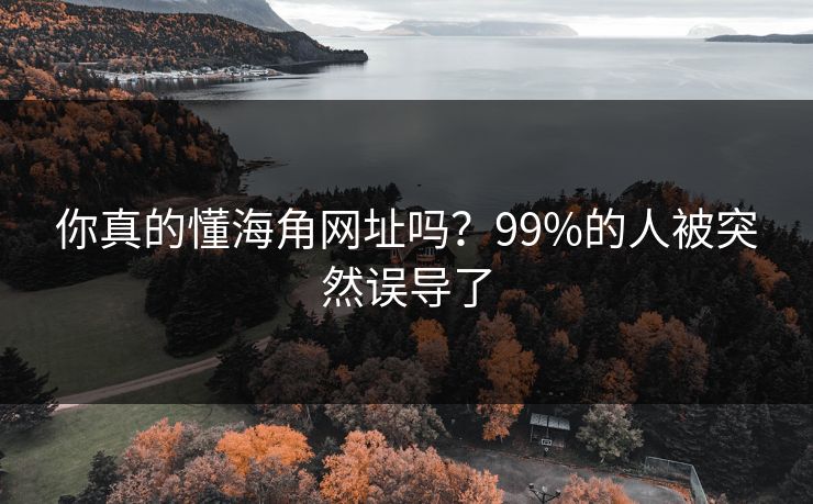 你真的懂海角网址吗？99%的人被突然误导了