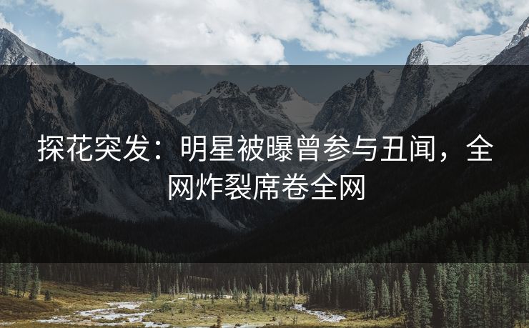 探花突发：明星被曝曾参与丑闻，全网炸裂席卷全网
