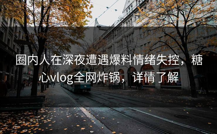 圈内人在深夜遭遇爆料情绪失控，糖心vlog全网炸锅，详情了解