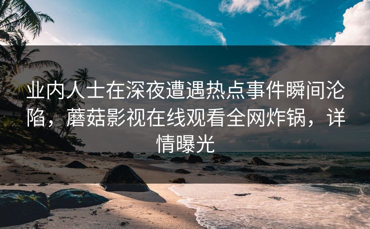 业内人士在深夜遭遇热点事件瞬间沦陷，蘑菇影视在线观看全网炸锅，详情曝光